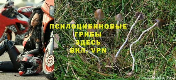 ALPHA PVP Алексеевка