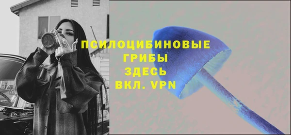 прущие крисы Алзамай