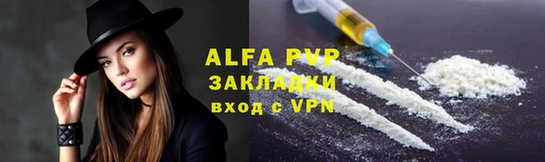 индика Алексин