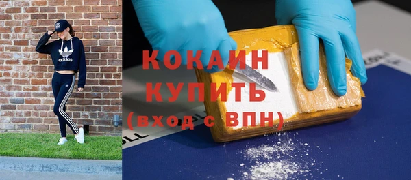 индика Алексин