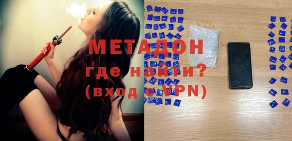 индика Алексин