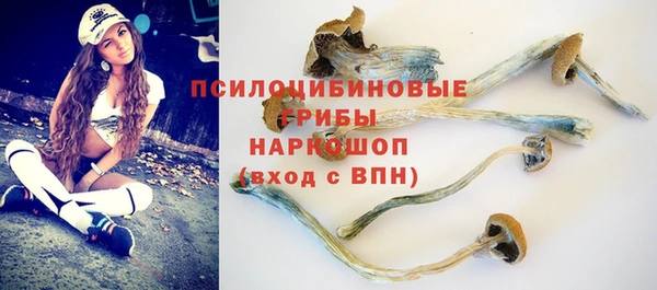 прущие крисы Алзамай