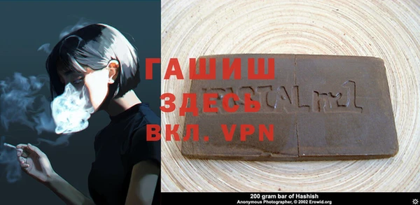 индика Алексин